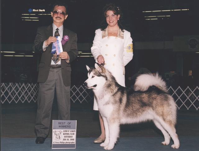 American Champion Windchaser's Canadian Hunter